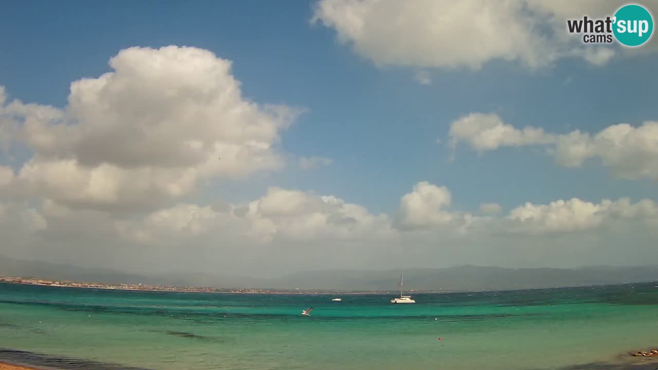 Webcam Cagliari Windsurf Club – Spiaggia del Poetto in diretta