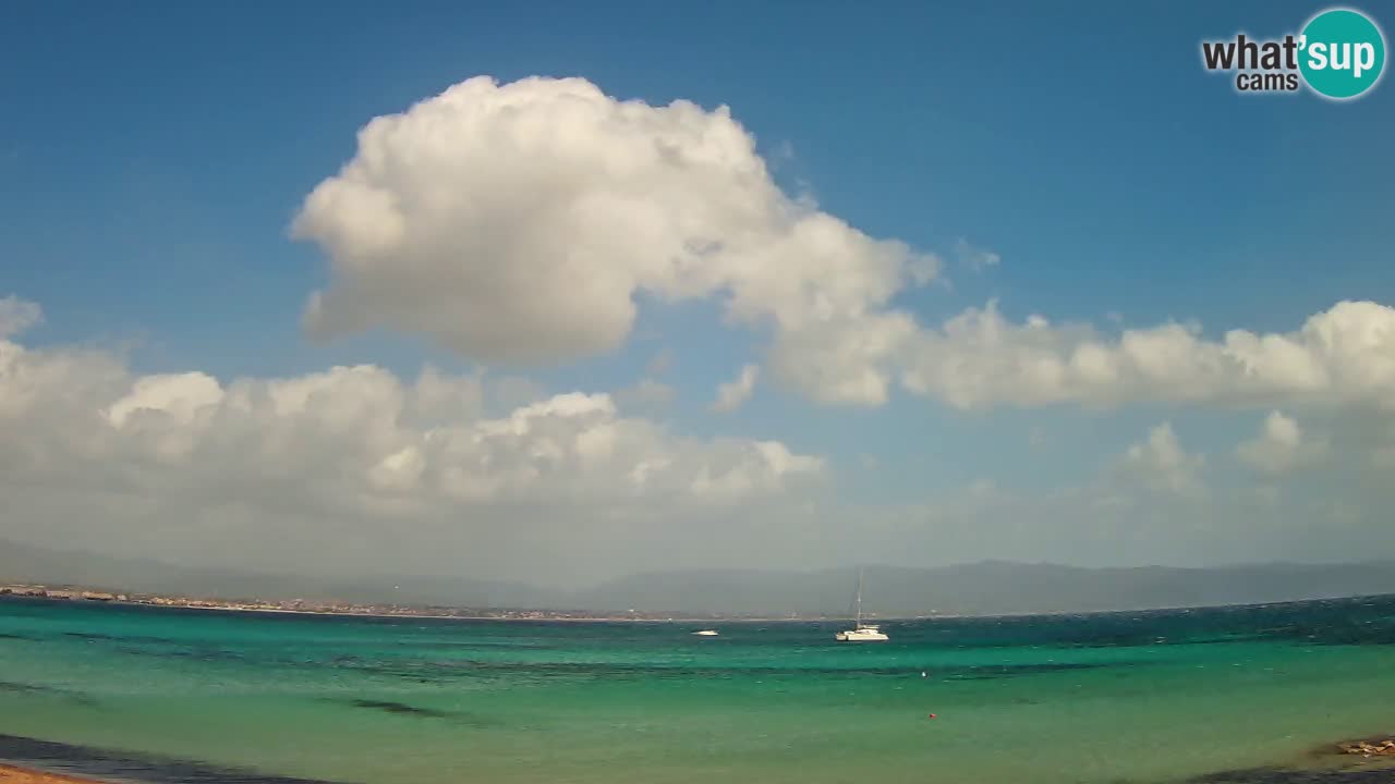 Webcam Cagliari Windsurf Club – Live from Poetto Beach