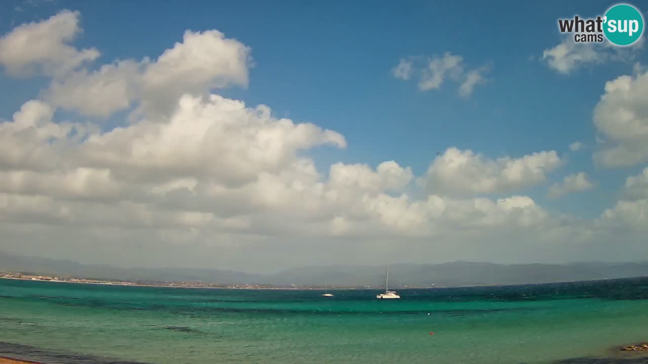 Webcam Cagliari Windsurf Club – Live from Poetto Beach
