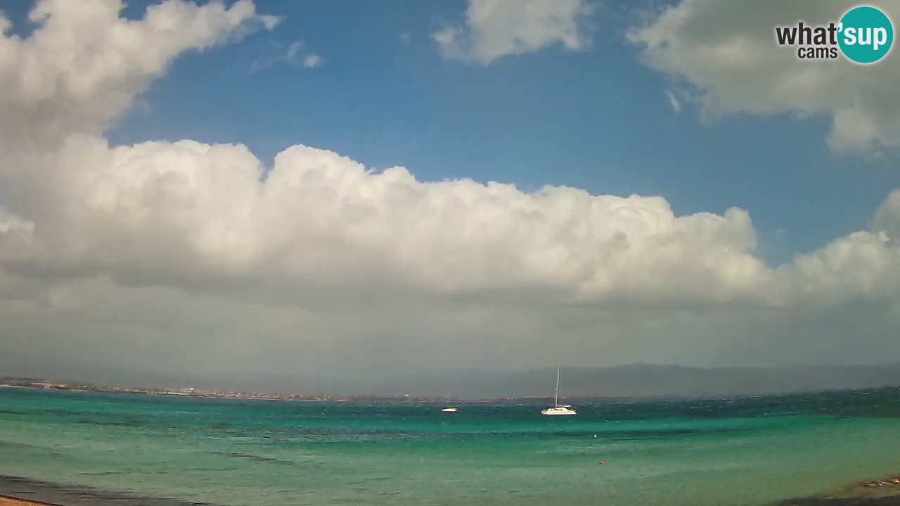 Webcam Cagliari Windsurf Club – Plage du Poetto en direct