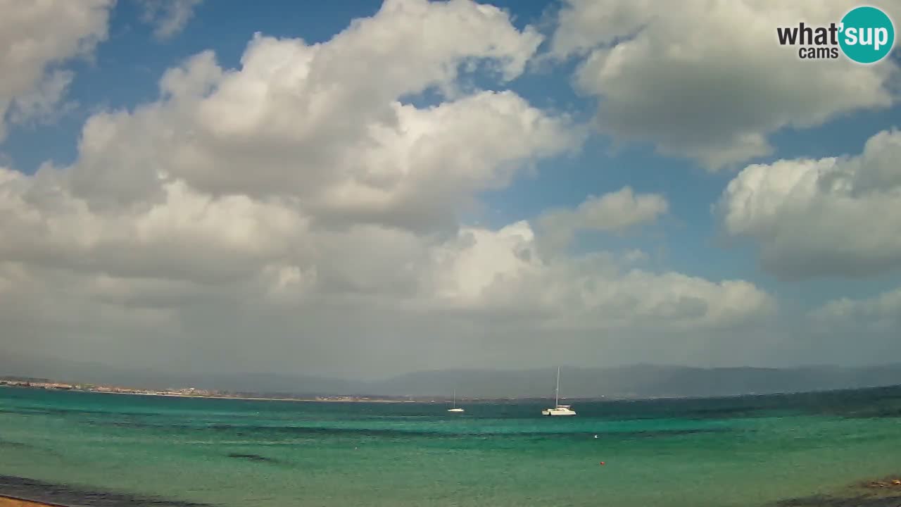 Webcam Cagliari Windsurf Club – Spiaggia del Poetto in diretta