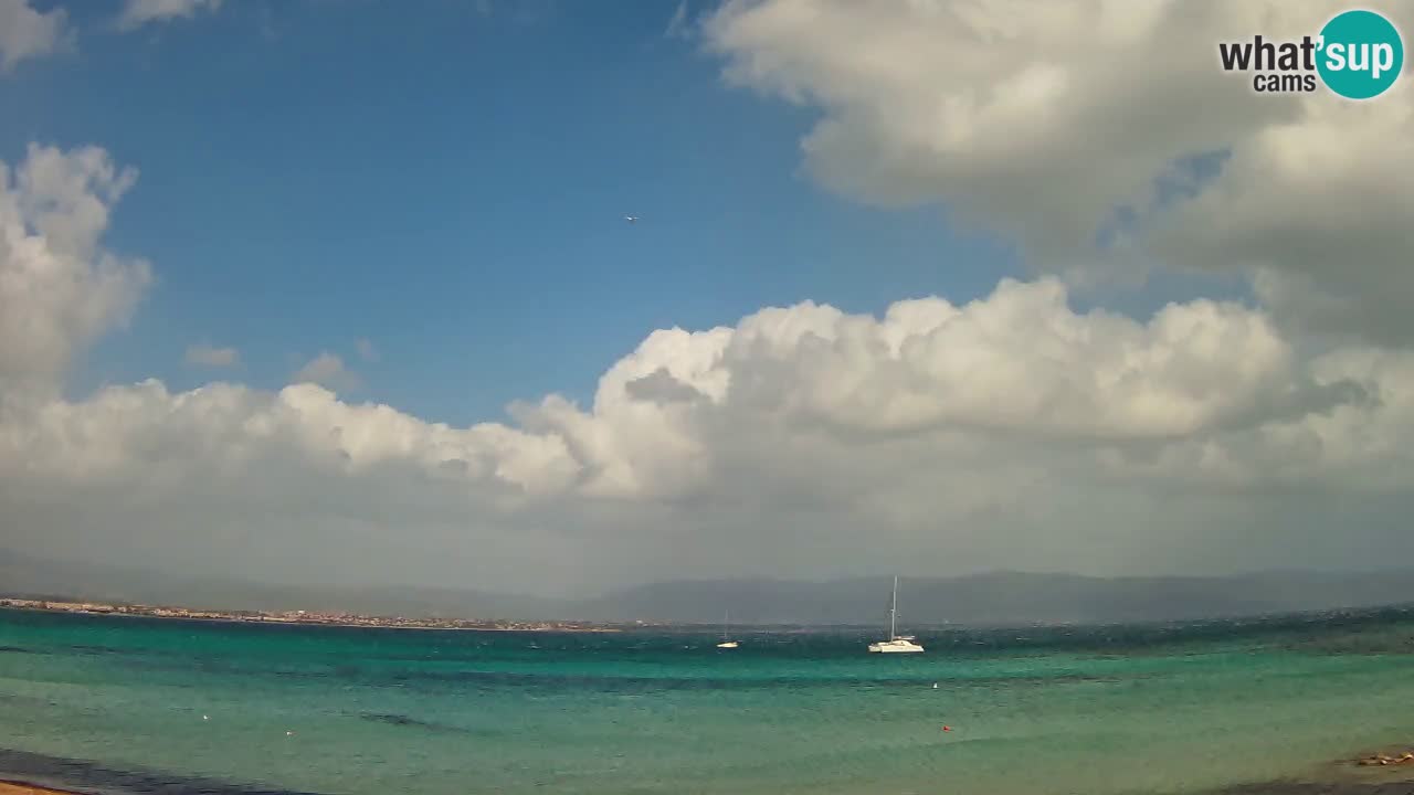 Webcam Cagliari Windsurf Club – Live from Poetto Beach