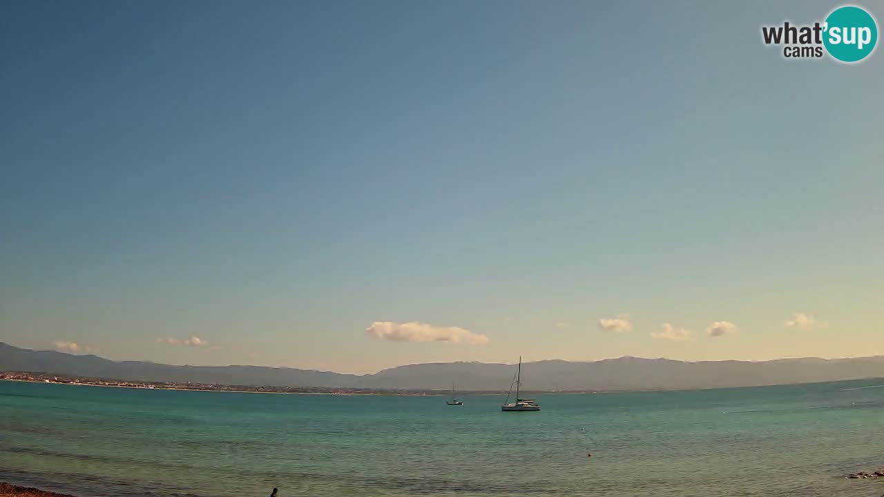 Spletna kamera Cagliari Windsurf Club – Pogled v živo s plaže Poetto