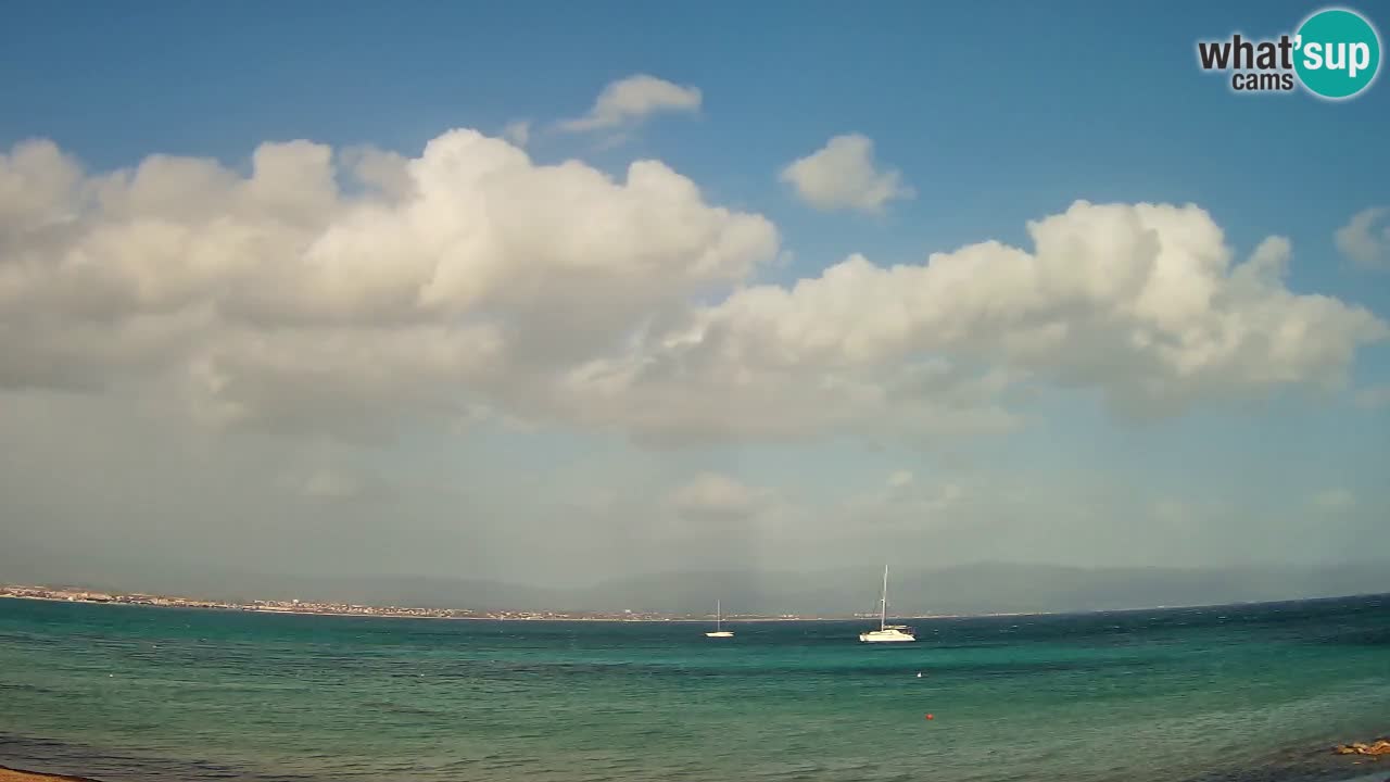 Webcam Cagliari Windsurf Club – Spiaggia del Poetto in diretta