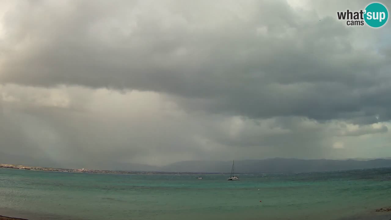 Webcam Cagliari Windsurf Club – Plage du Poetto en direct