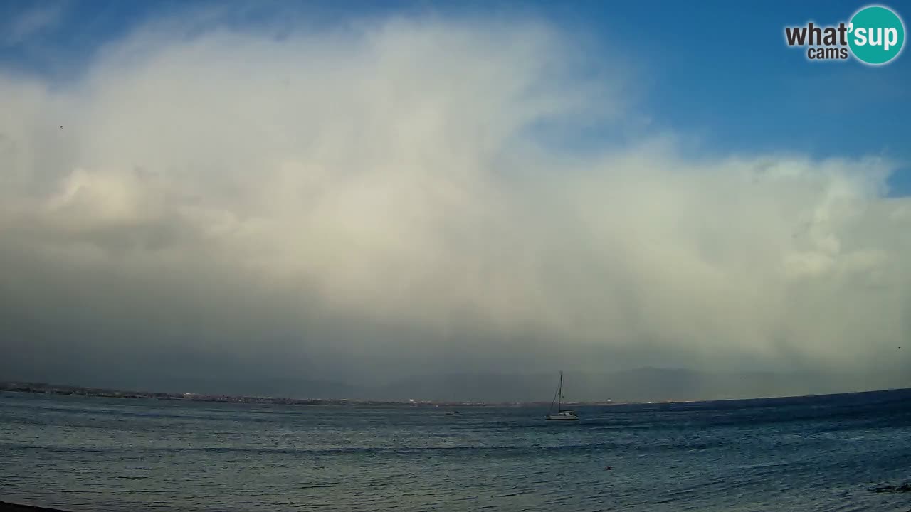 Webcam Cagliari Windsurf Club – Liveblick vom Poetto Strand