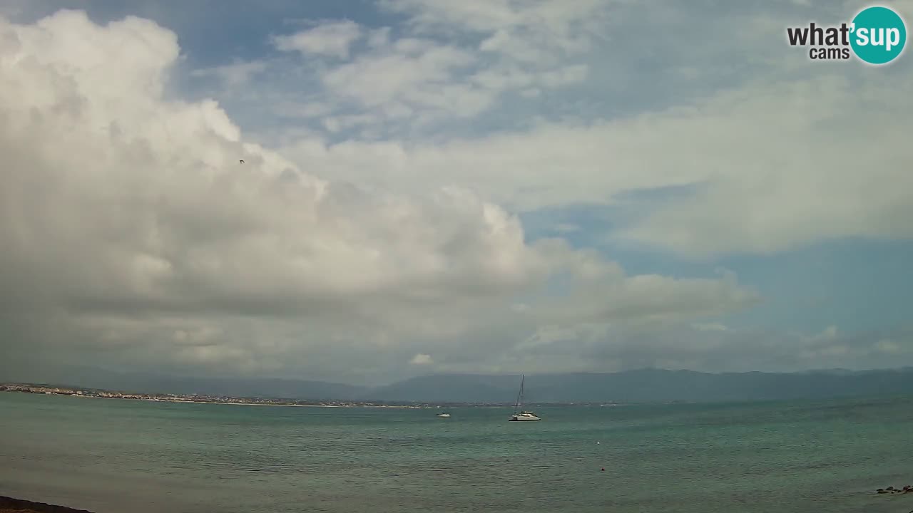 Webcam Cagliari Windsurf Club – Plage du Poetto en direct