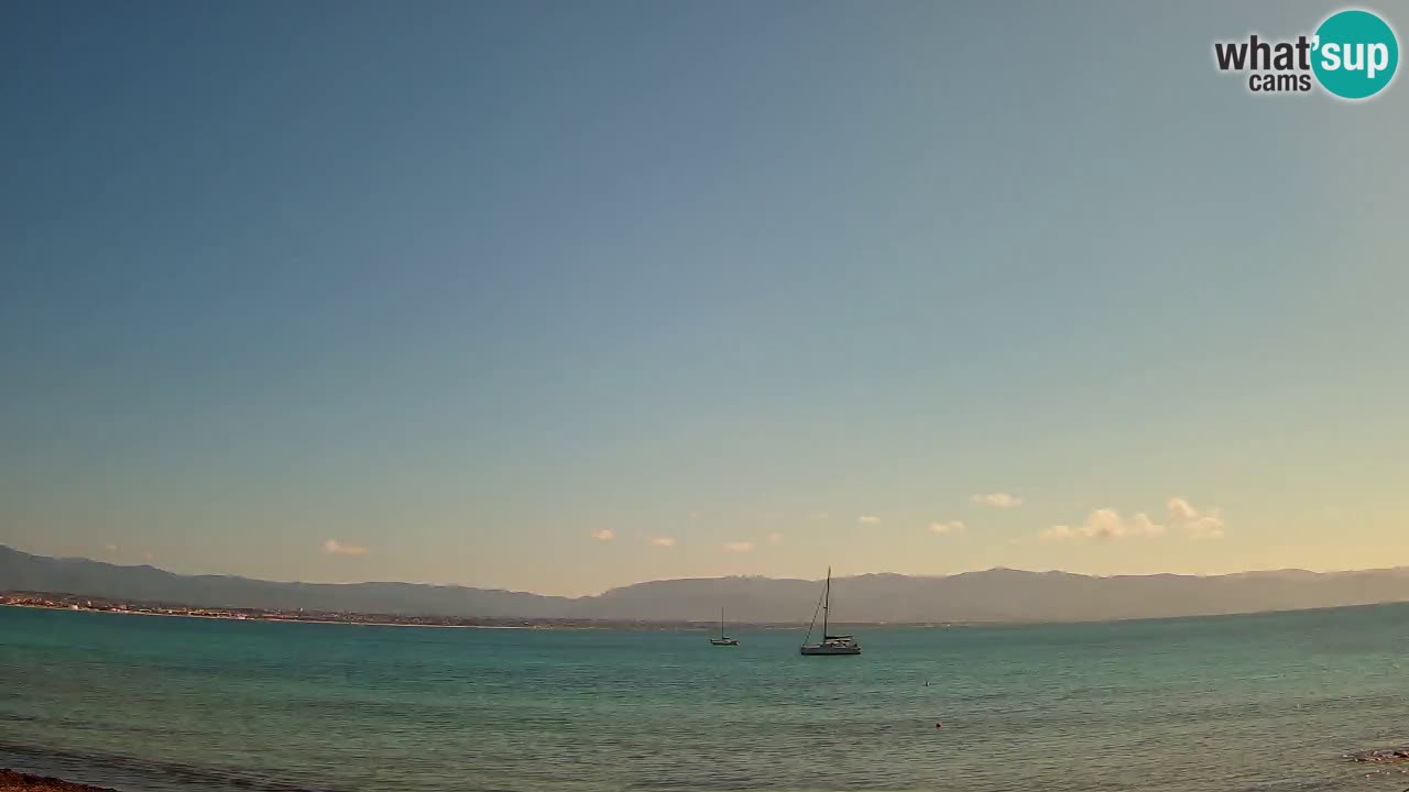 Webcam Cagliari Windsurf Club – Live from Poetto Beach