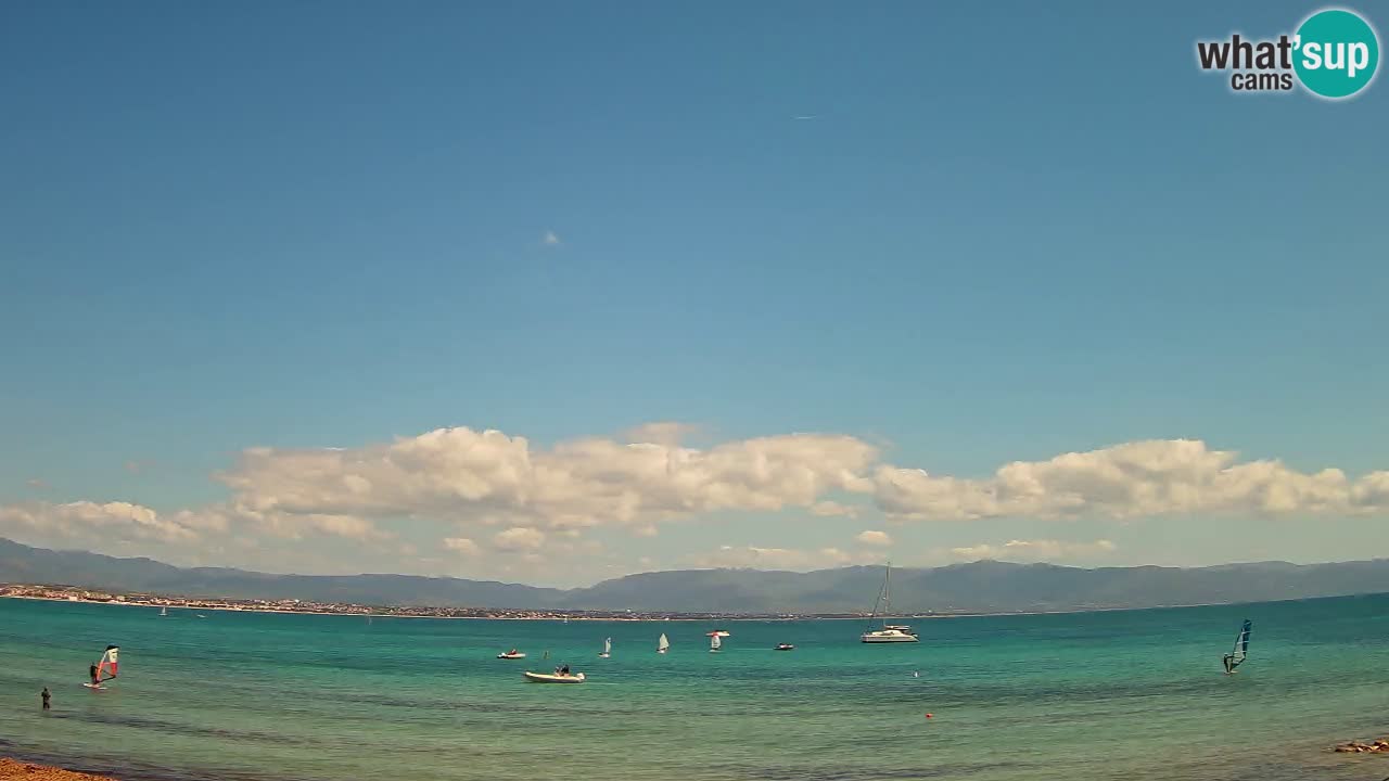 Webcam Cagliari Windsurf Club – Plage du Poetto en direct