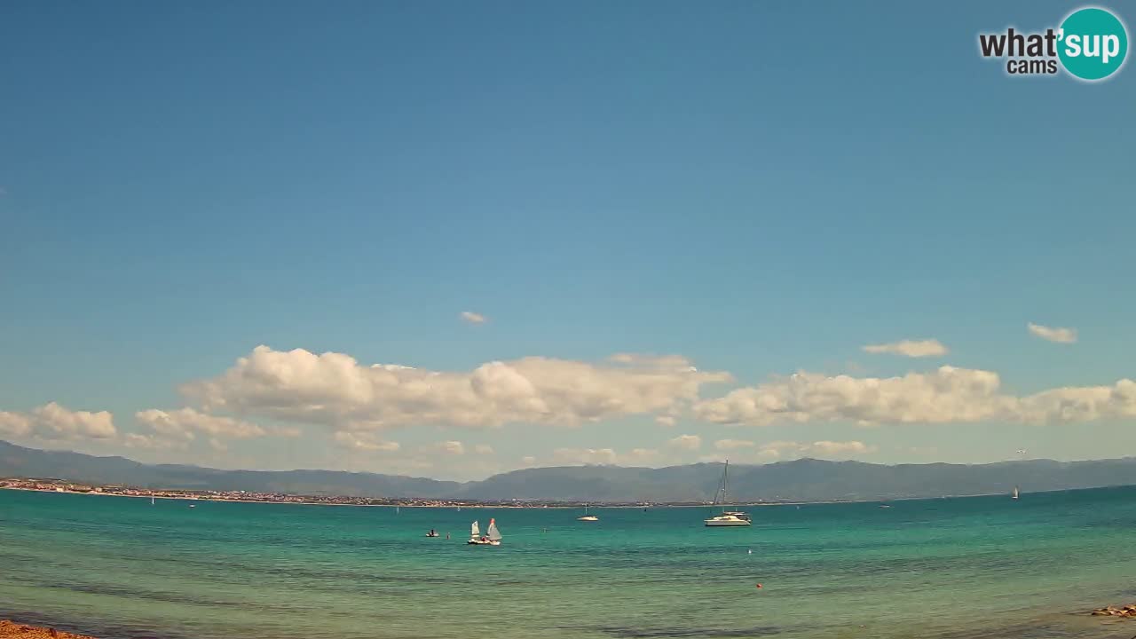 Webcam Cagliari Windsurf Club – Liveblick vom Poetto Strand