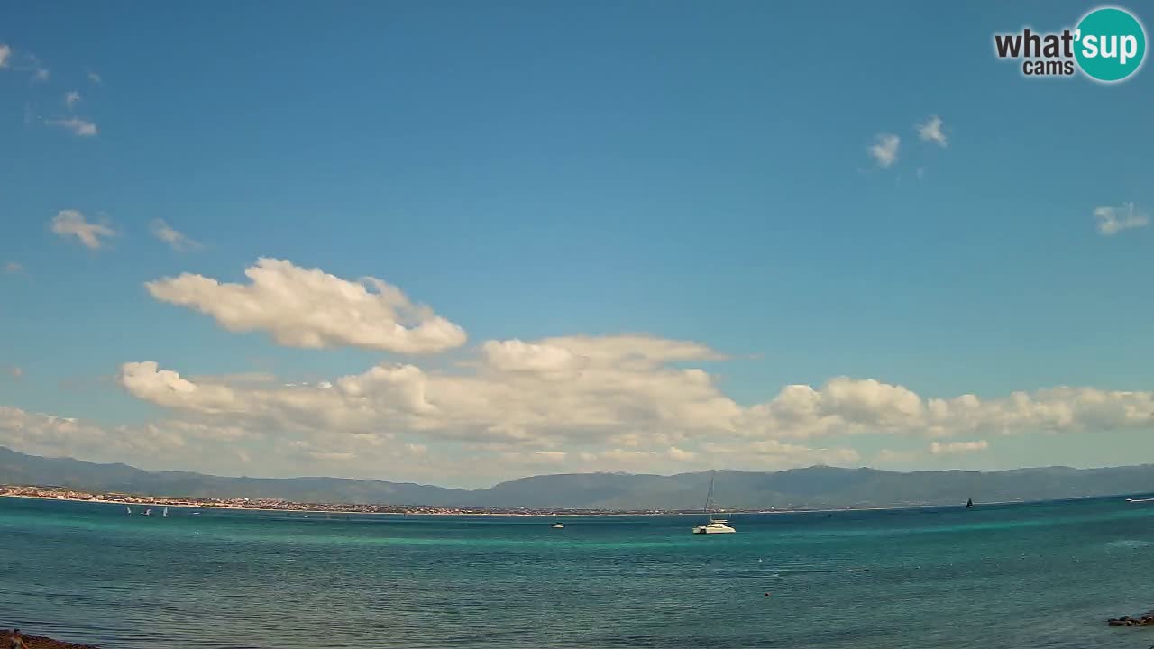 Webcam Cagliari Windsurf Club – Plage du Poetto en direct
