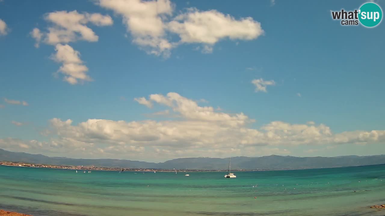 Webcam Cagliari Windsurf Club – Liveblick vom Poetto Strand