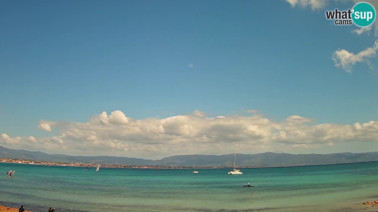 Webcam Cagliari Windsurf Club – Plage du Poetto en direct