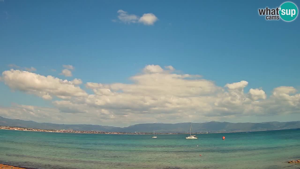 Webcam Cagliari Windsurf Club – Plage du Poetto en direct