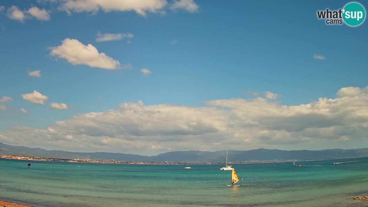 Webcam Cagliari Windsurf Club – Plage du Poetto en direct