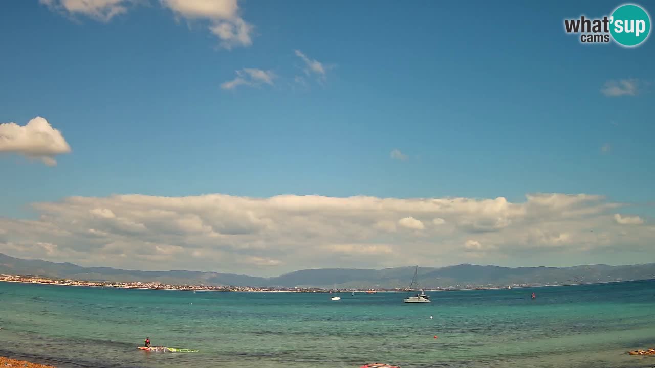 Webcam Cagliari Windsurf Club – Plage du Poetto en direct