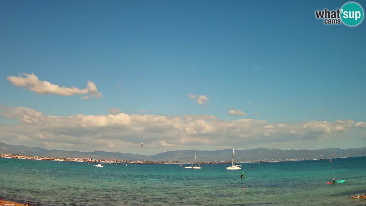 Webcam Cagliari Windsurf Club – Playa del Poetto en directo