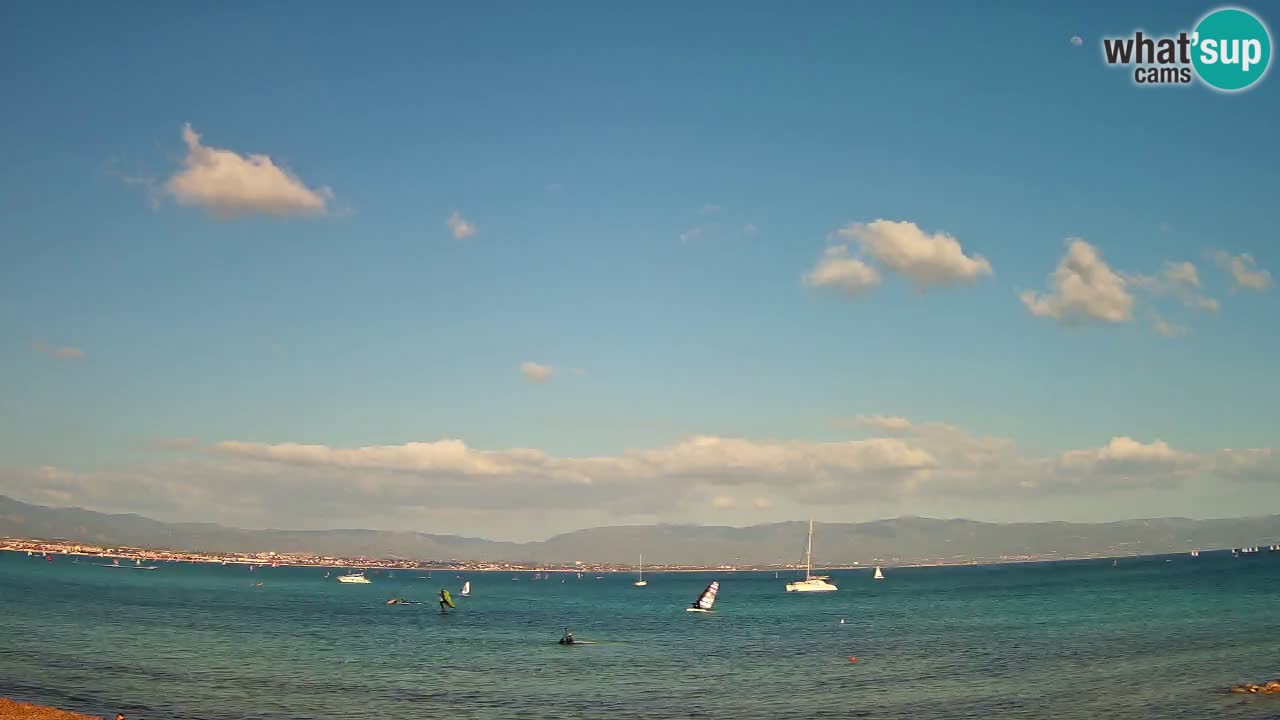 Webcam Cagliari Windsurf Club – Plage du Poetto en direct