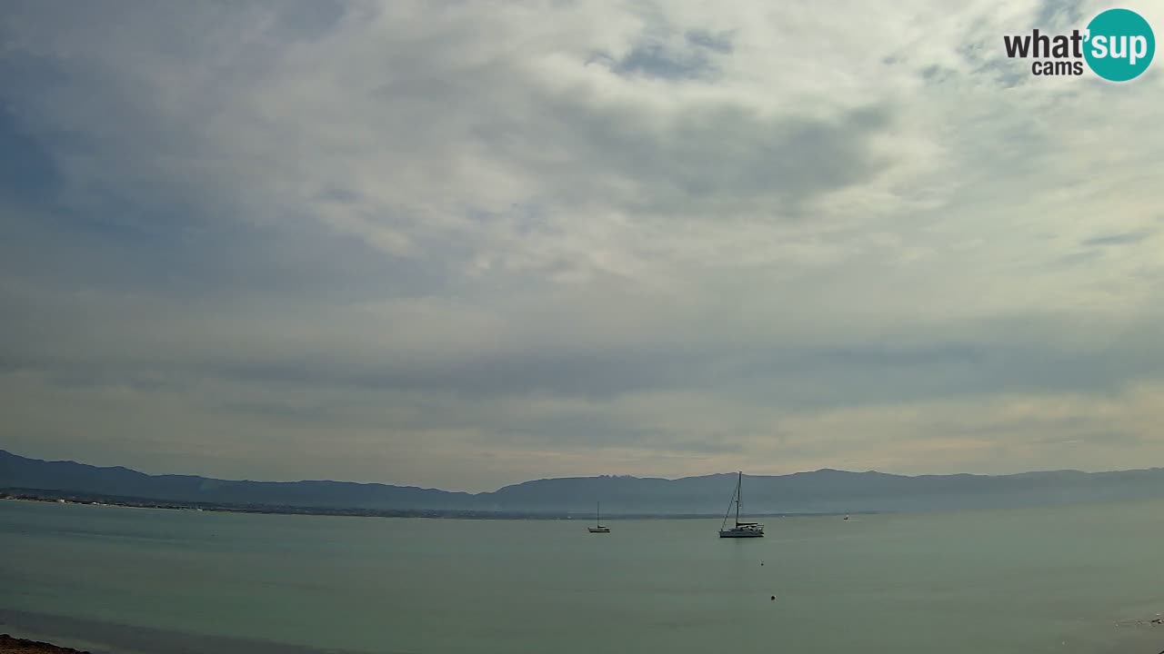 Webcam Cagliari Windsurf Club – Plage du Poetto en direct