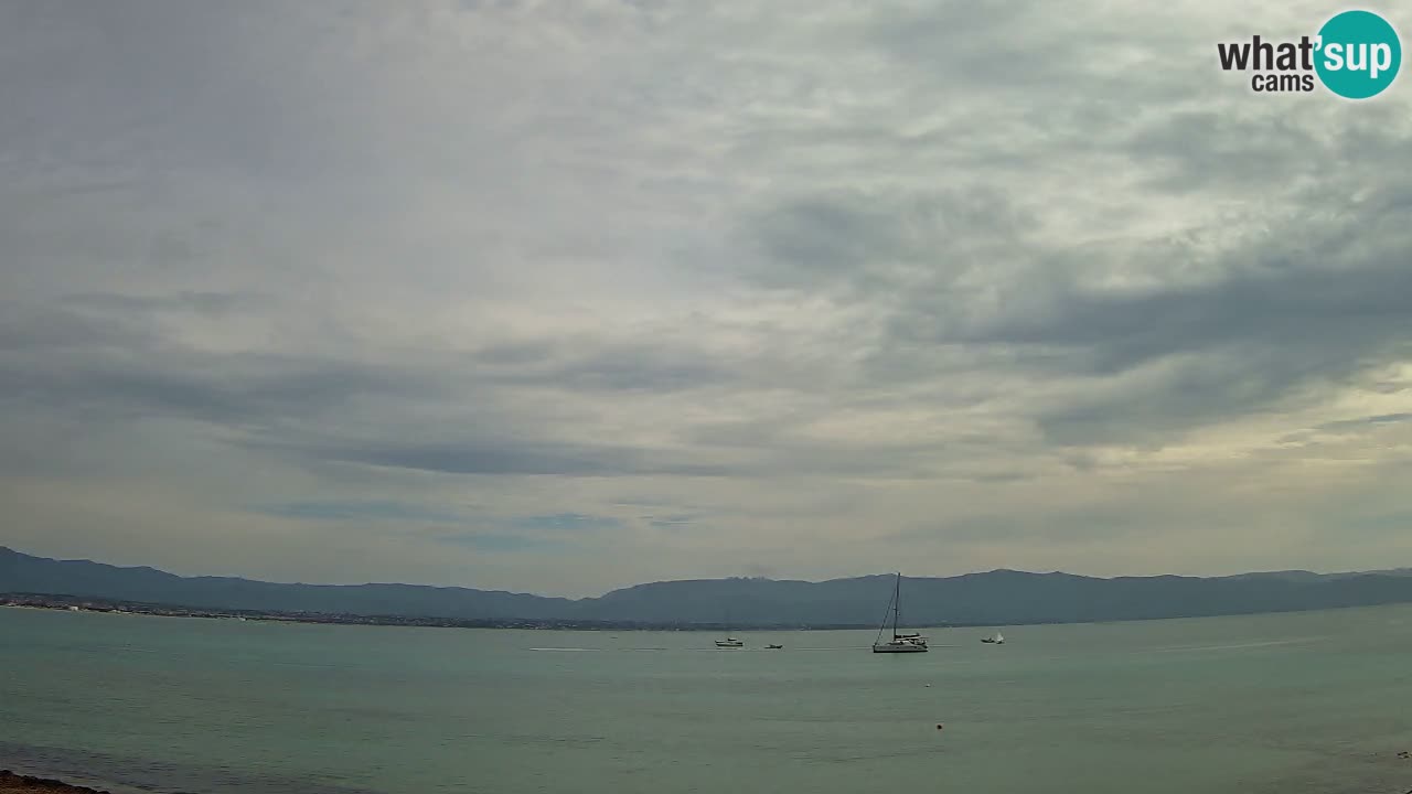Webcam Cagliari Windsurf Club – Live from Poetto Beach