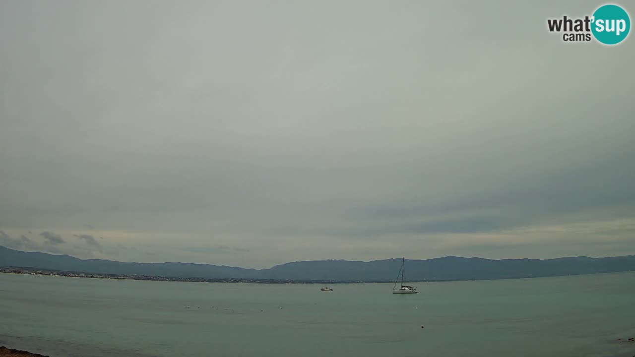 Webcam Cagliari Windsurf Club – Playa del Poetto en directo