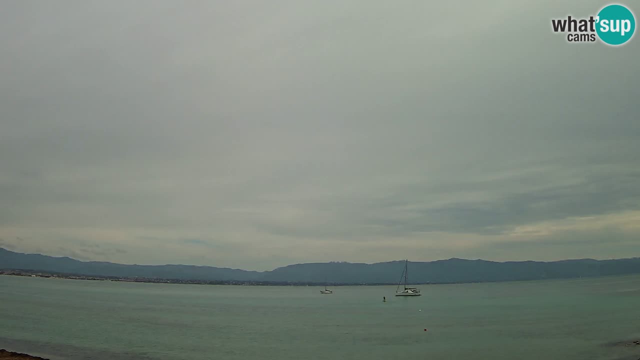 Web kamera Cagliari Windsurf Club – Poetto plaža uživo