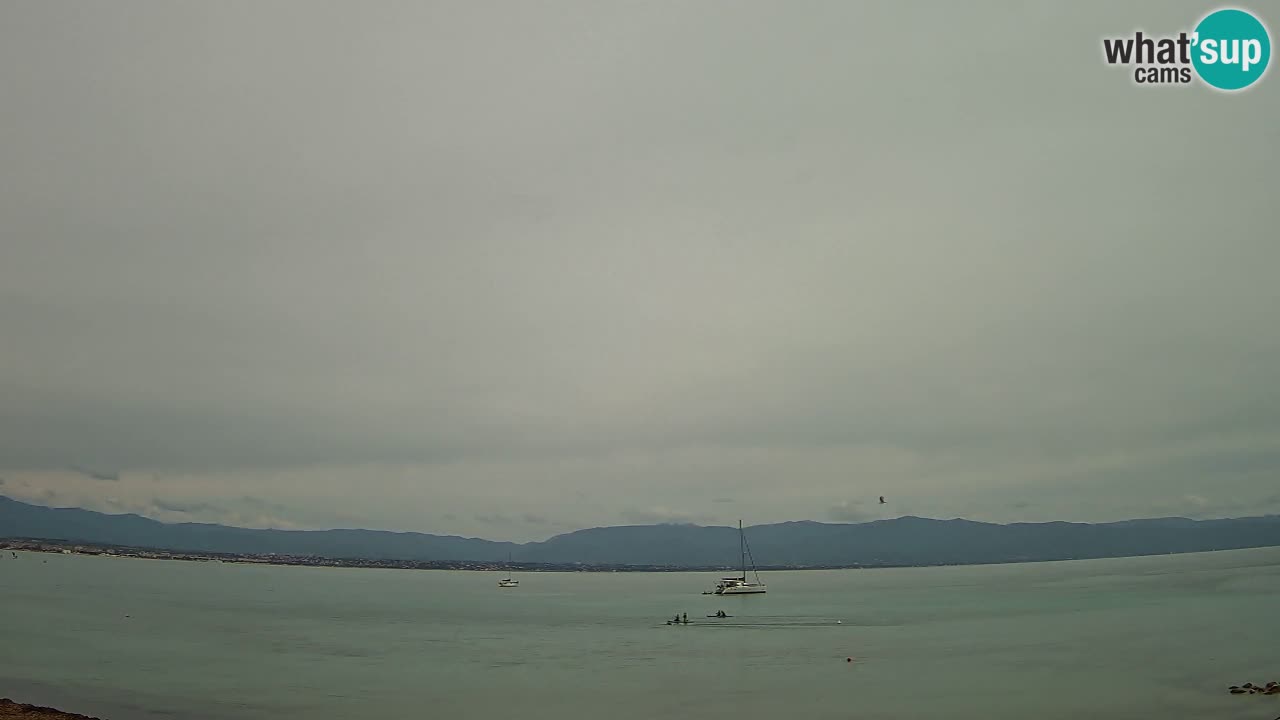 Webcam Cagliari Windsurf Club – Playa del Poetto en directo