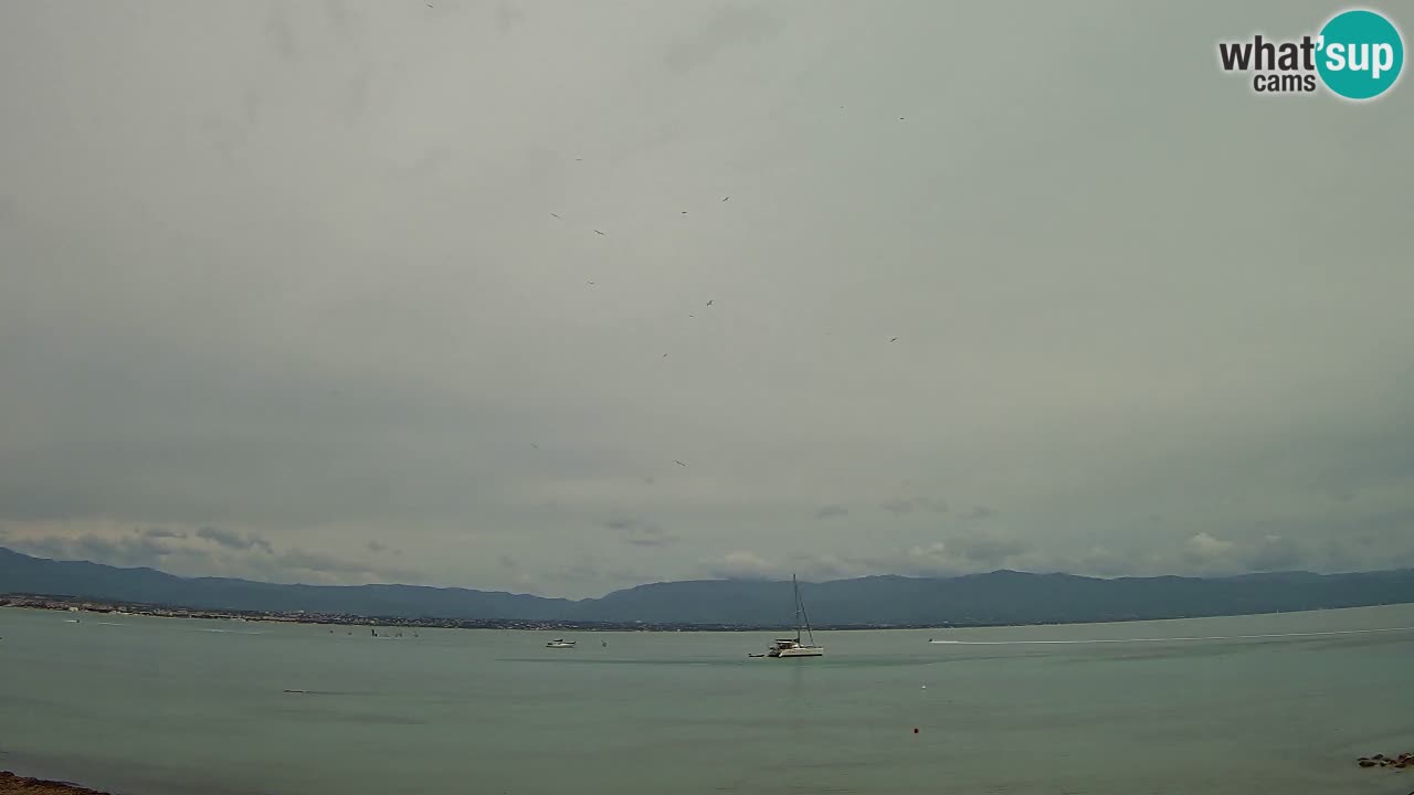 Webcam Cagliari Windsurf Club – Playa del Poetto en directo