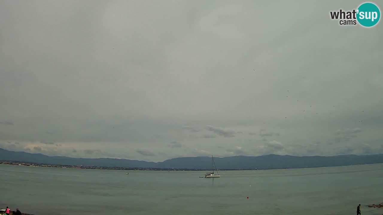 Webcam Cagliari Windsurf Club – Plage du Poetto en direct