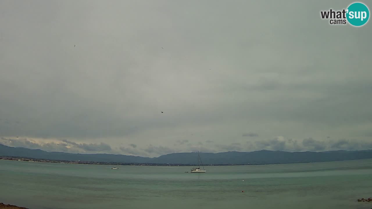 Webcam Cagliari Windsurf Club – Playa del Poetto en directo