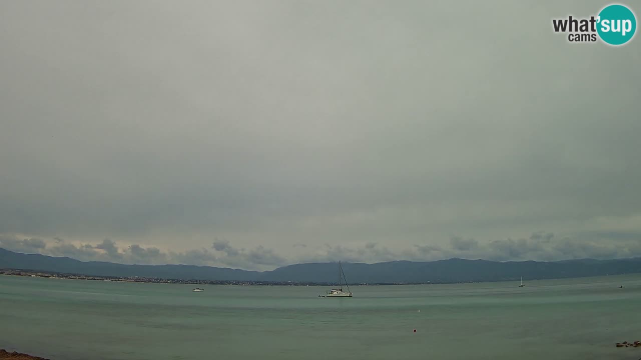Webcam Cagliari Windsurf Club – Liveblick vom Poetto Strand