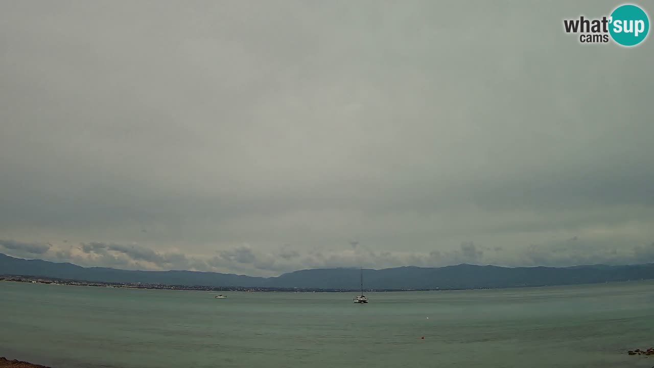 Webcam Cagliari Windsurf Club – Plage du Poetto en direct