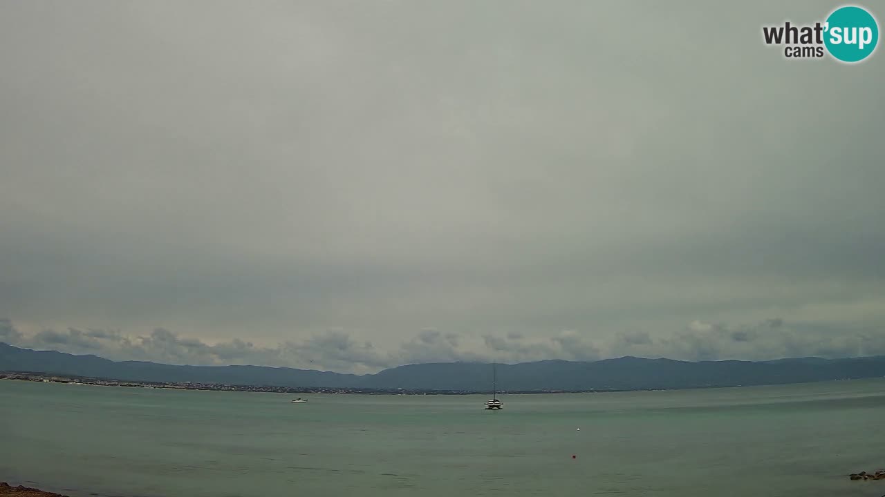 Webcam Cagliari Windsurf Club – Plage du Poetto en direct