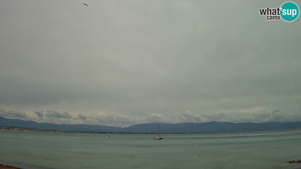 Webcam Cagliari Windsurf Club – Plage du Poetto en direct