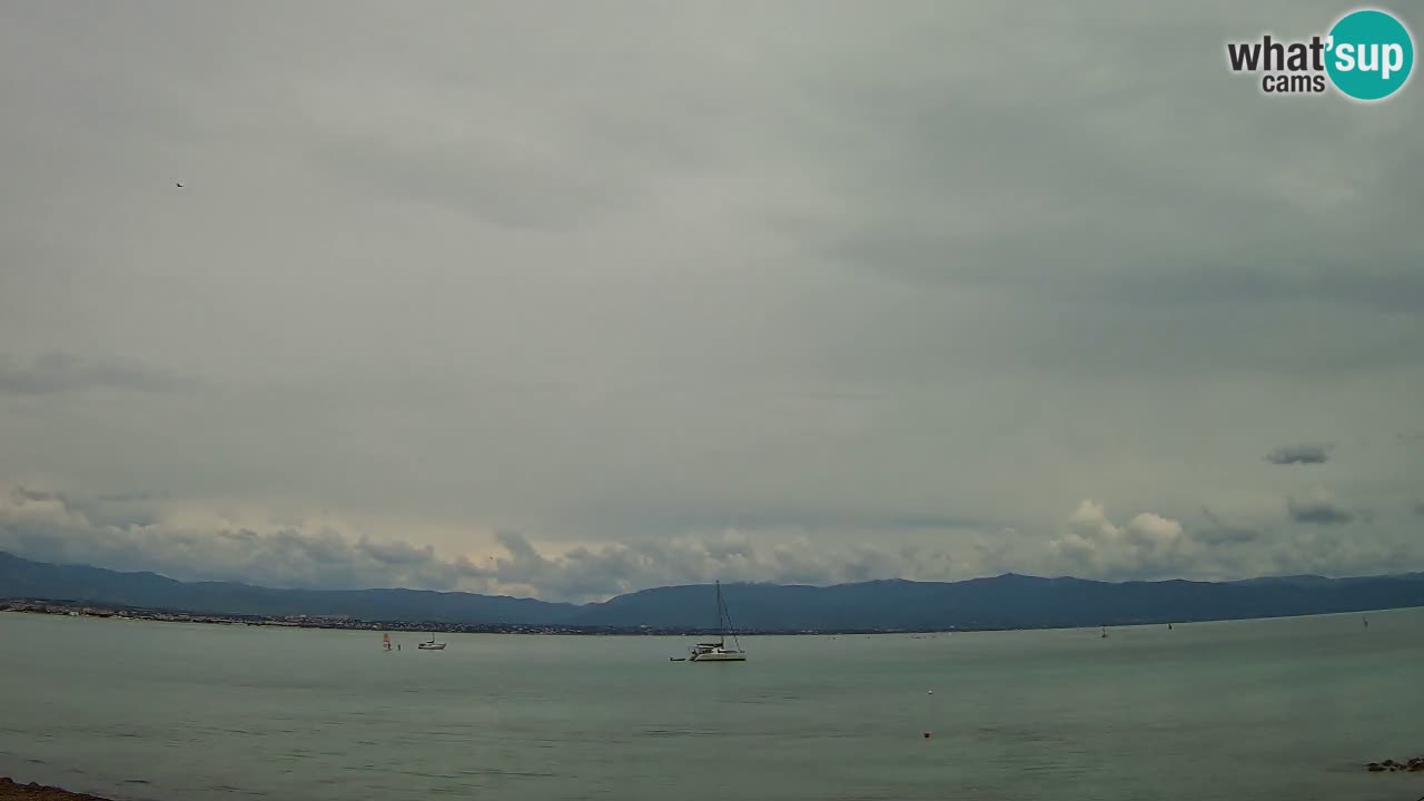 Webcam Cagliari Windsurf Club – Plage du Poetto en direct
