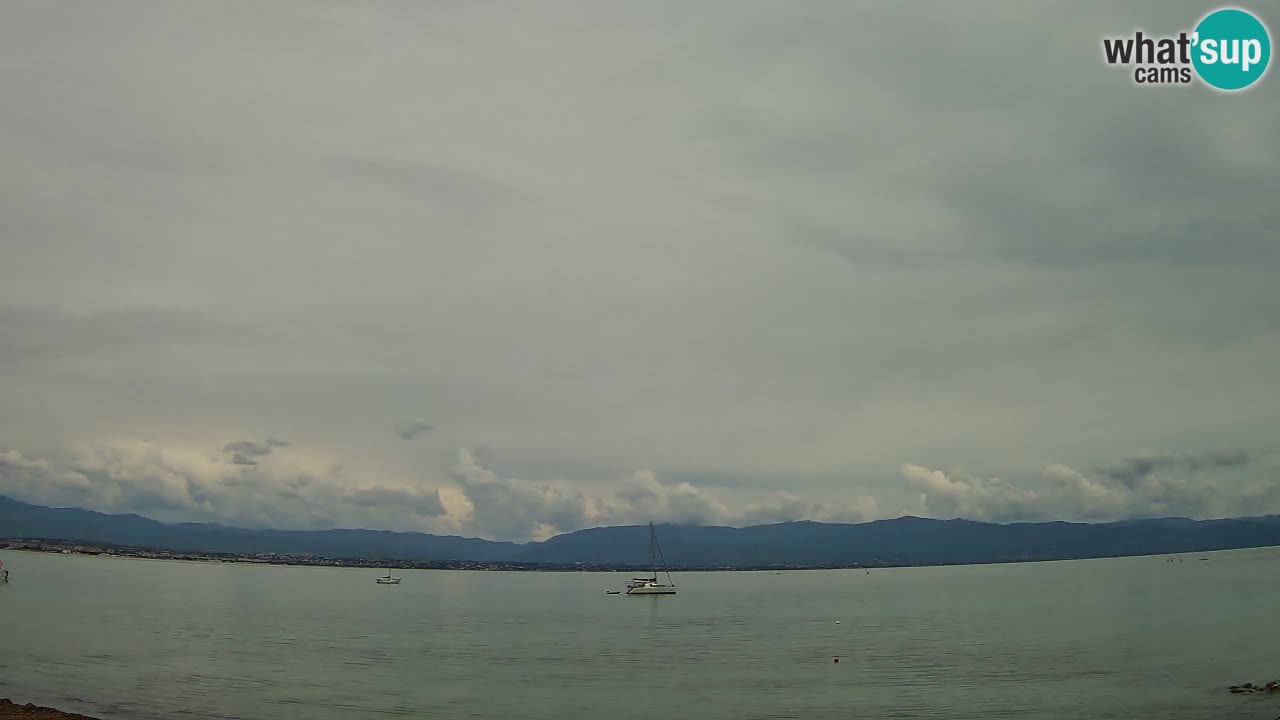 Webcam Cagliari Windsurf Club – Plage du Poetto en direct