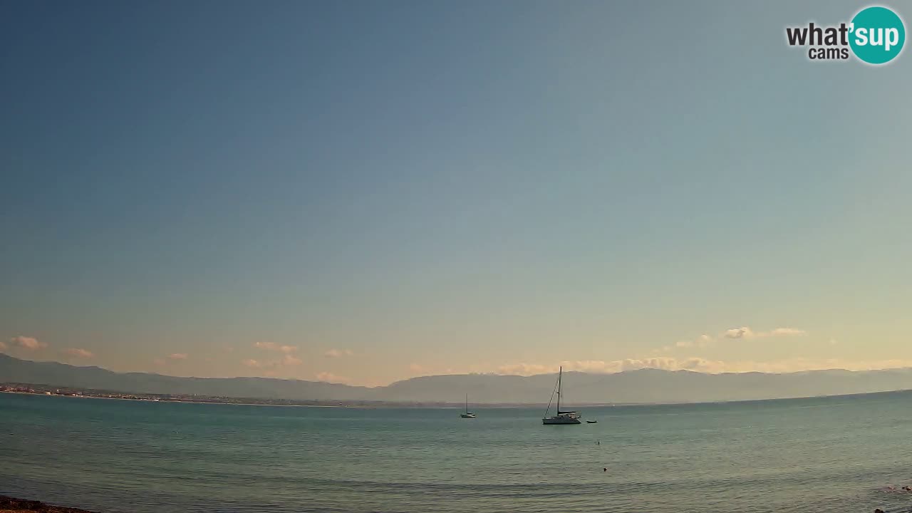 Webcam Cagliari Windsurf Club – Liveblick vom Poetto Strand