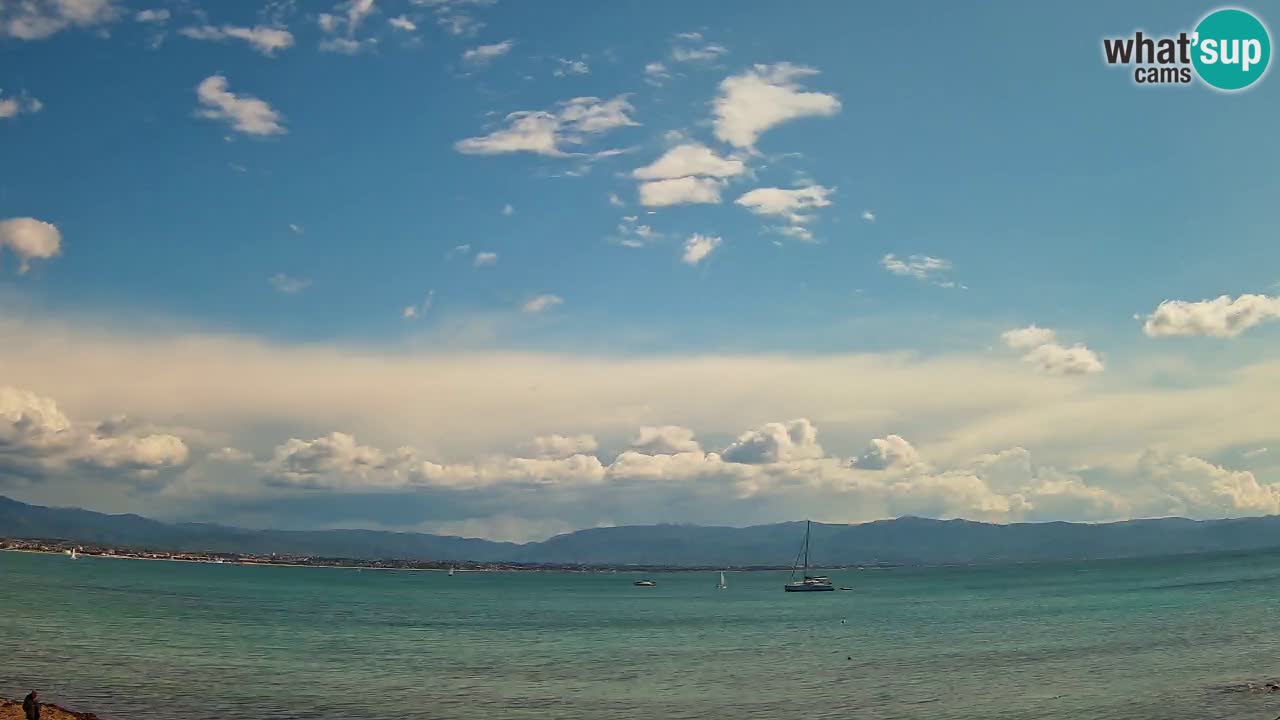 Webcam Cagliari Windsurf Club – Plage du Poetto en direct