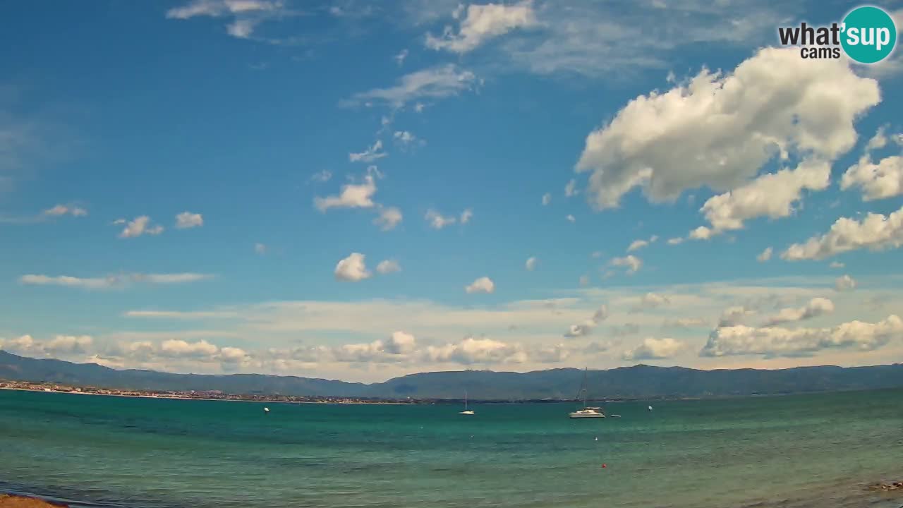Webcam Cagliari Windsurf Club – Liveblick vom Poetto Strand