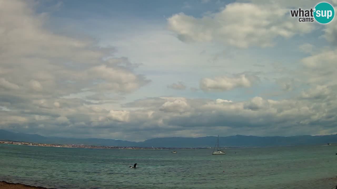 Webcam Cagliari Windsurf Club – Playa del Poetto en directo