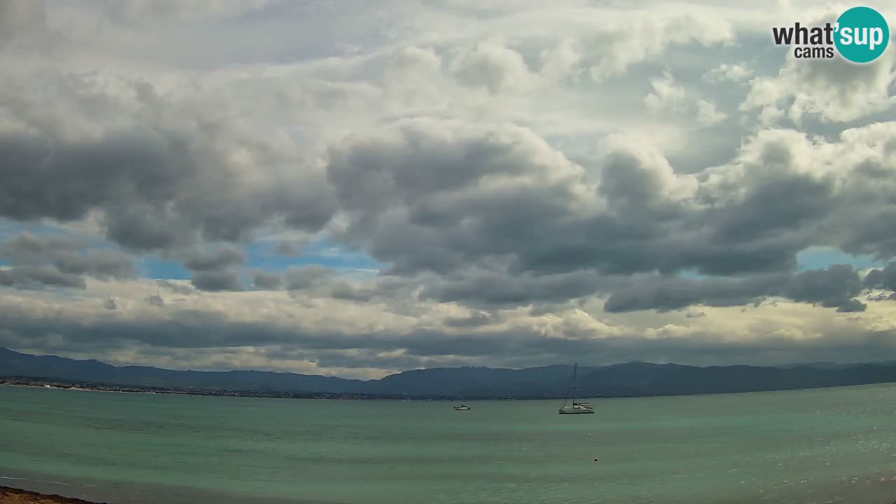 Webcam Cagliari Windsurf Club – Plage du Poetto en direct