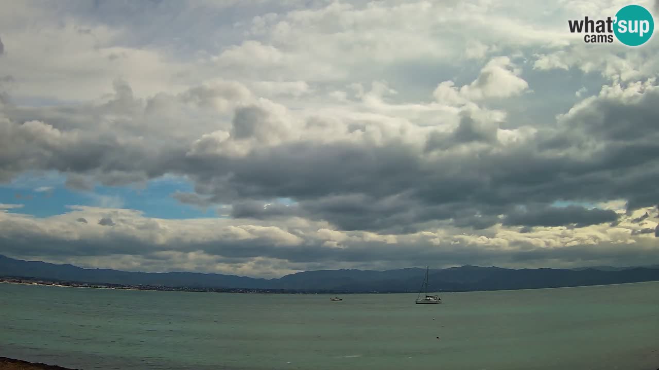 Webcam Cagliari Windsurf Club – Plage du Poetto en direct