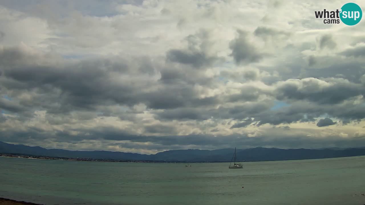 Webcam Cagliari Windsurf Club – Playa del Poetto en directo