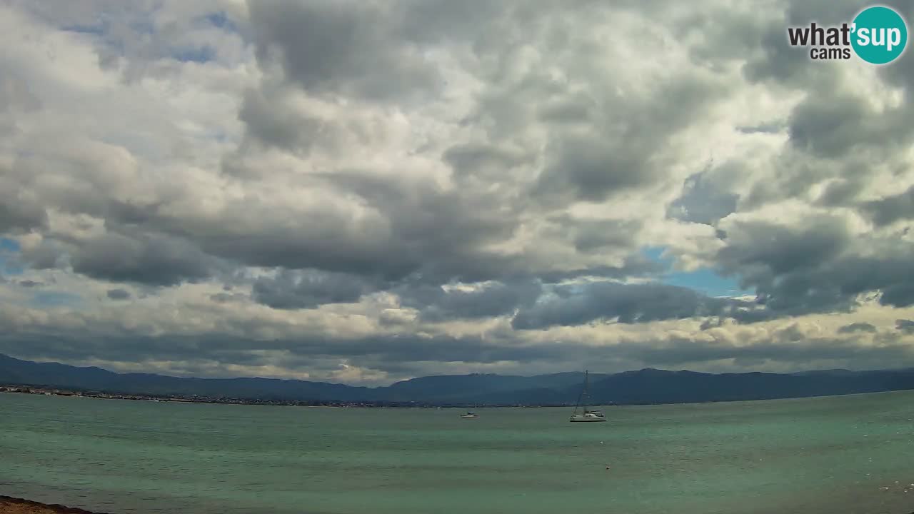 Spletna kamera Cagliari Windsurf Club – Pogled v živo s plaže Poetto