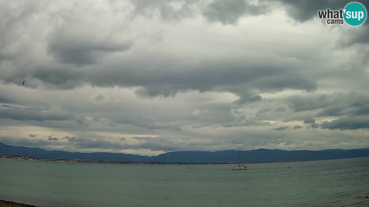 Webcam Cagliari Windsurf Club – Spiaggia del Poetto in diretta