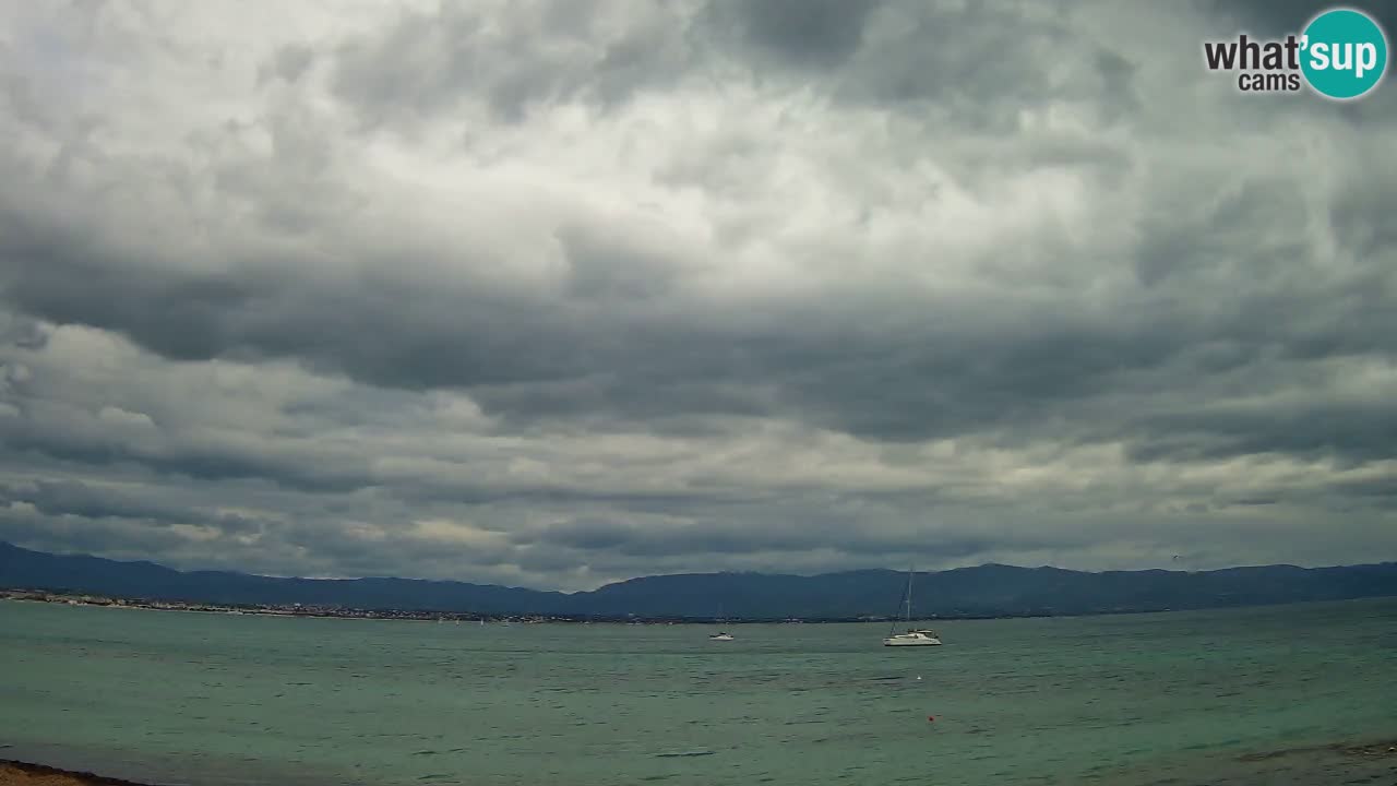 Webcam Cagliari Windsurf Club – Liveblick vom Poetto Strand