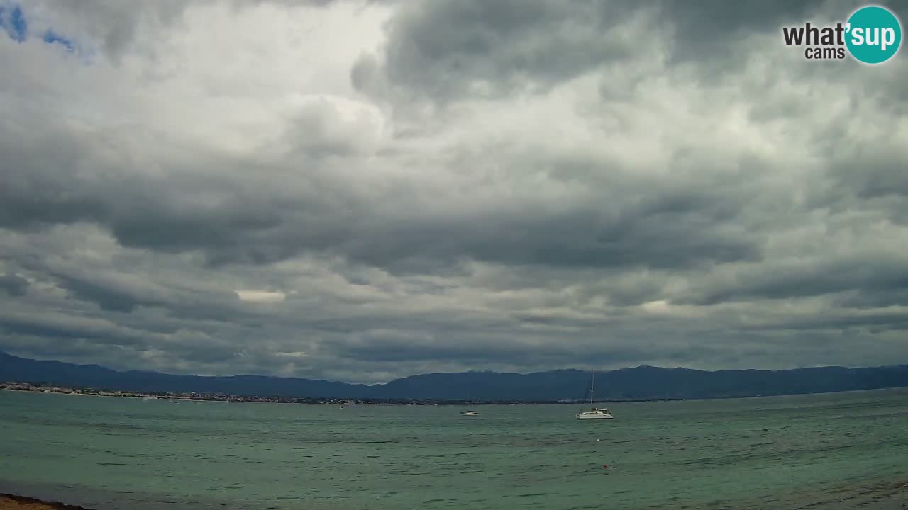 Webcam Cagliari Windsurf Club – Live from Poetto Beach