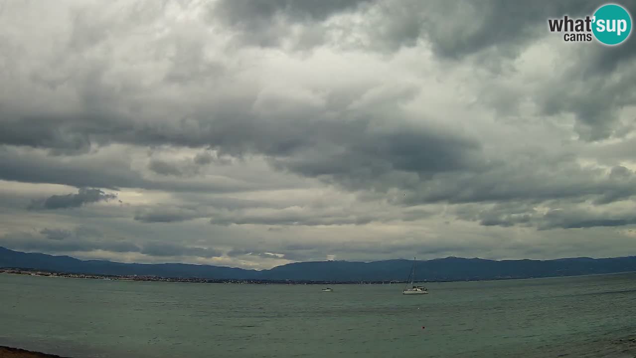 Webcam Cagliari Windsurf Club – Plage du Poetto en direct