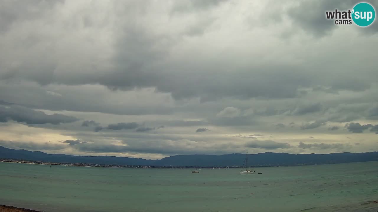 Webcam Cagliari Windsurf Club – Playa del Poetto en directo