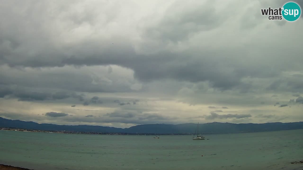 Webcam Cagliari Windsurf Club – Plage du Poetto en direct
